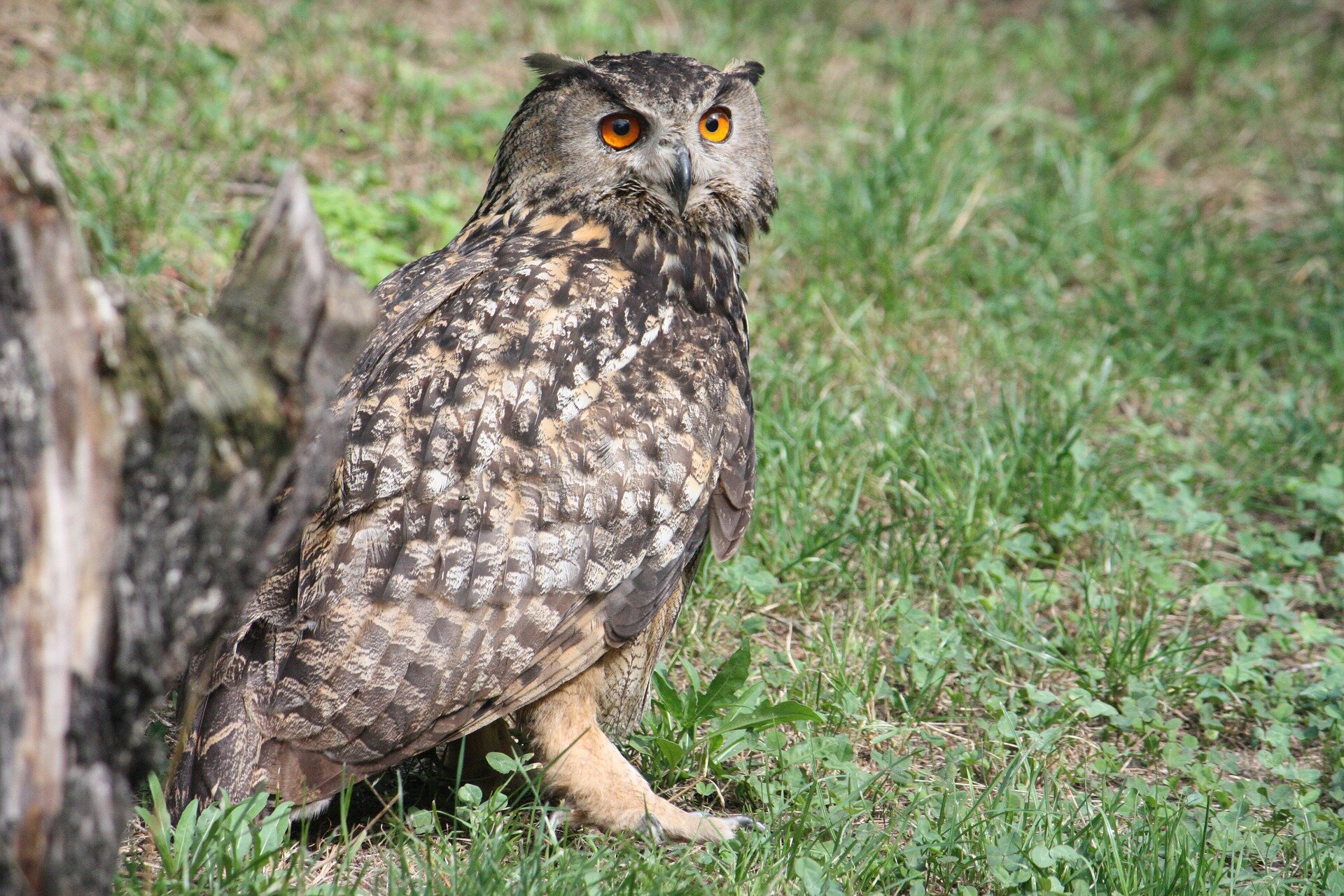 Milford Nature Center